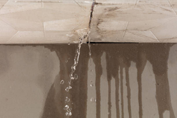 Professional Burst Pipe Cleanup technician working in Harwich, MA